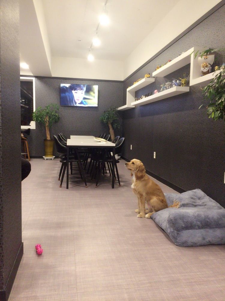 Mozzihostel Busan Station Εξωτερικό φωτογραφία